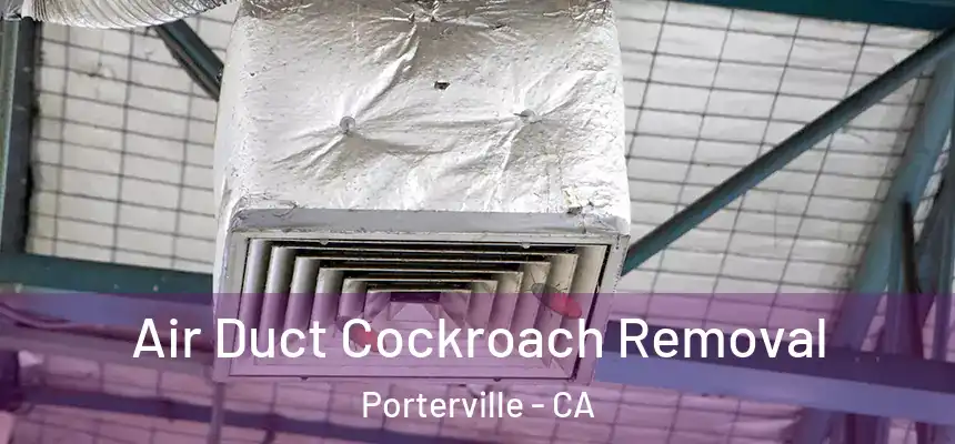  Air Duct Cockroach Removal Porterville - CA