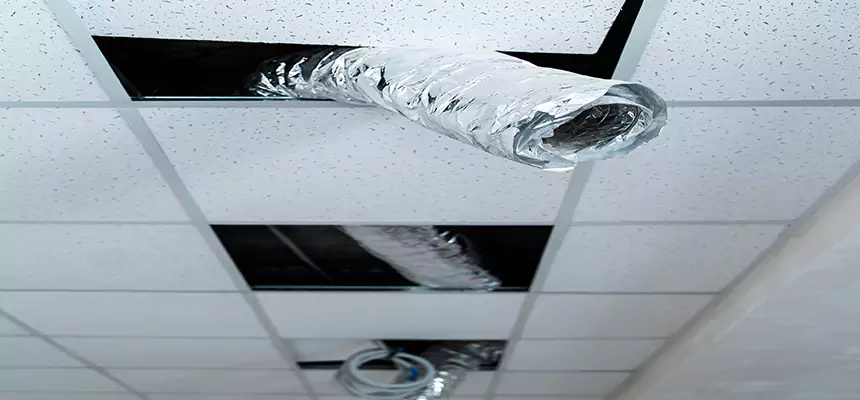 Our Air Duct Pet Hair Removal Services in Porterville, CA