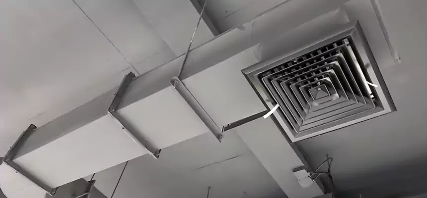 Our Pest Removal From Ducts Services in Porterville, CA