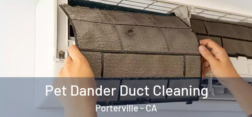 Pet Dander Duct Cleaning Porterville - CA