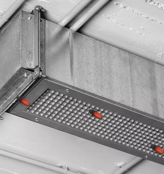About Air Duct Cockroach Removal in Porterville, CA