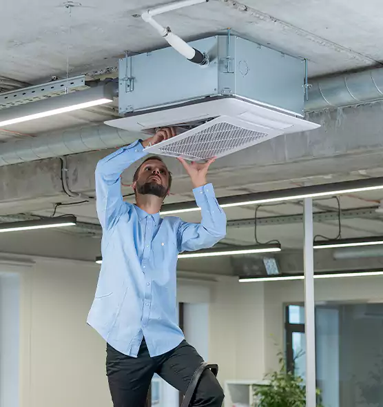 Advanced Rodent Droppings In Vents in Porterville, CA