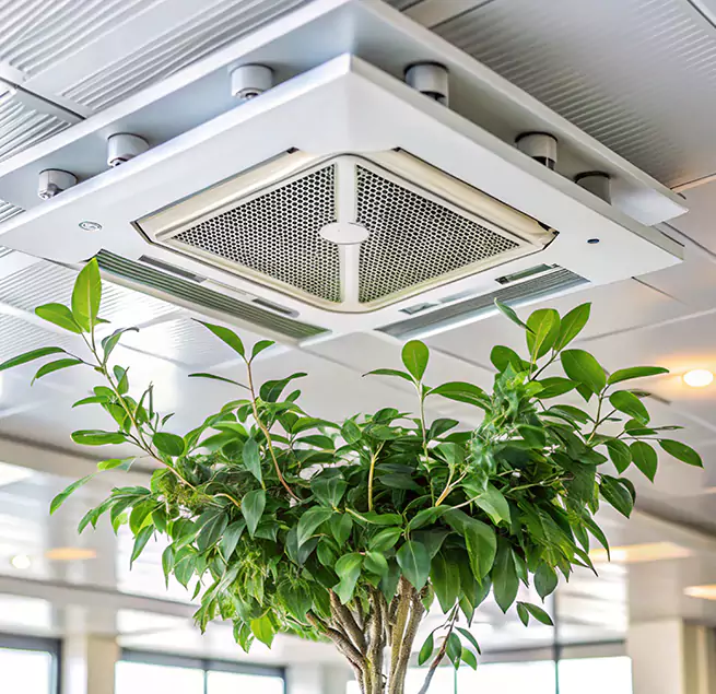 Why Homeowners & Businesses Trust Us in Porterville, CA?